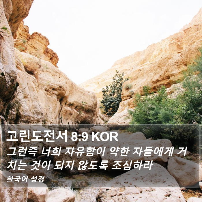 고린도전서 8:9 KOR Bible Study