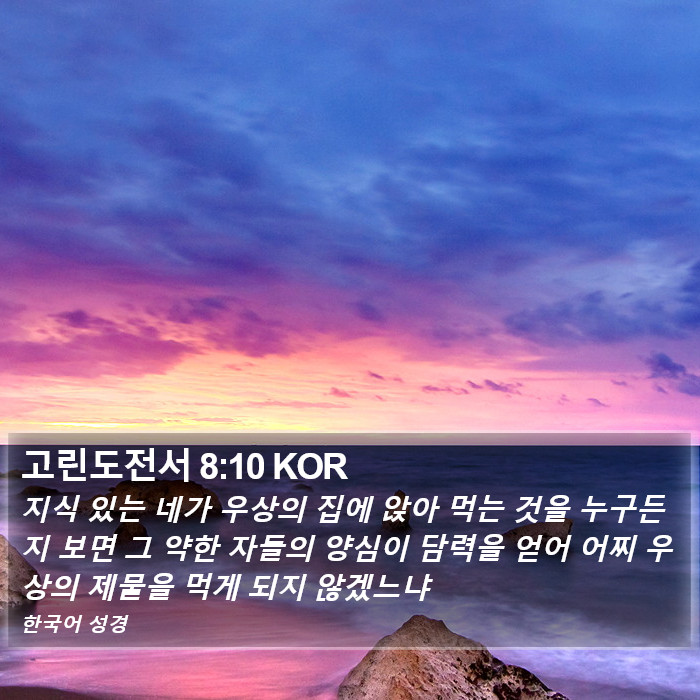 고린도전서 8:10 KOR Bible Study