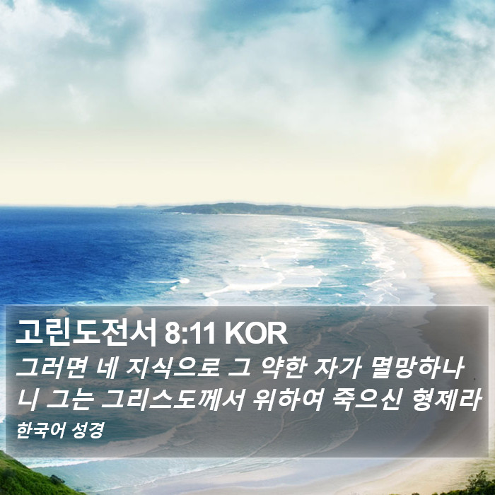 고린도전서 8:11 KOR Bible Study