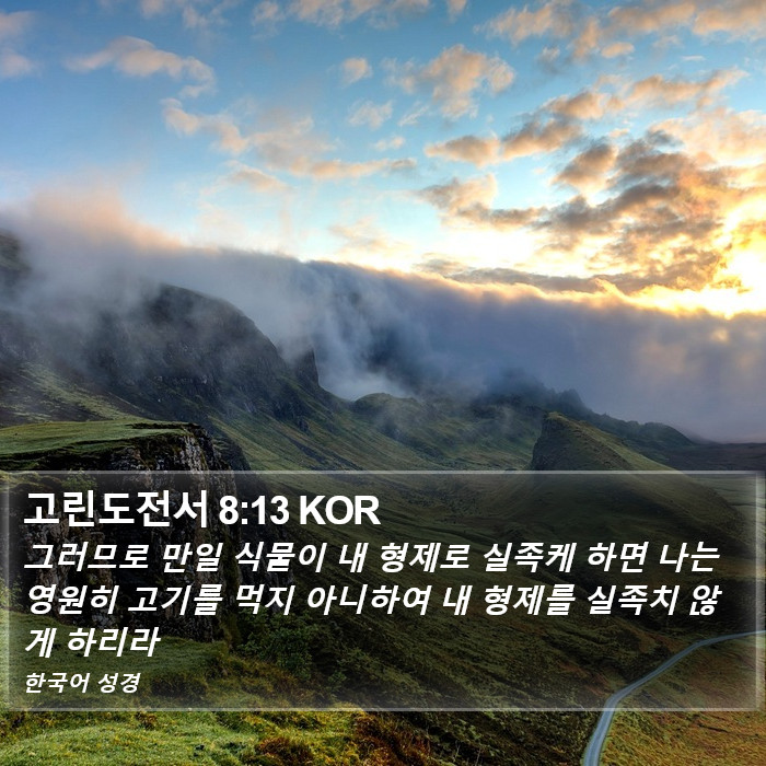 고린도전서 8:13 KOR Bible Study