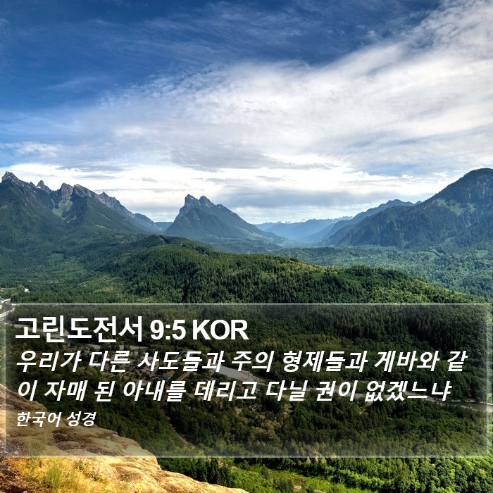 고린도전서 9:5 KOR Bible Study