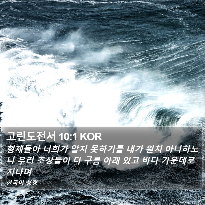 고린도전서 10:1 KOR Bible Study