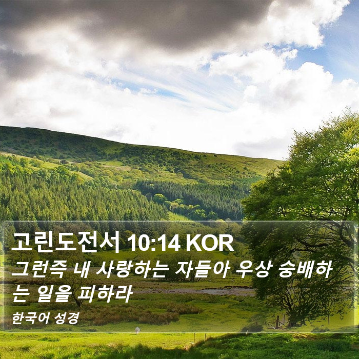고린도전서 10:14 KOR Bible Study