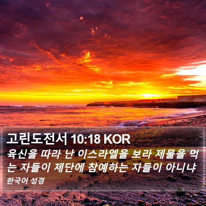 고린도전서 10:18 KOR Bible Study