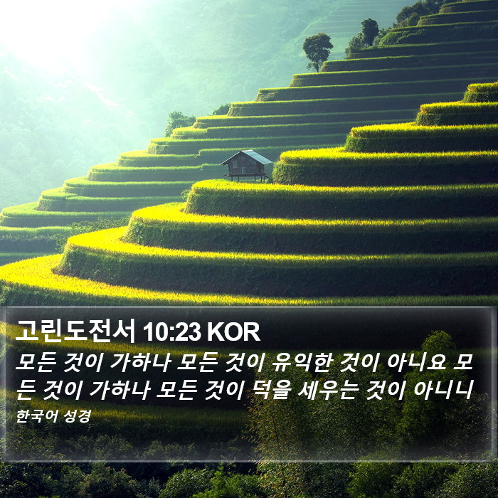 고린도전서 10:23 KOR Bible Study