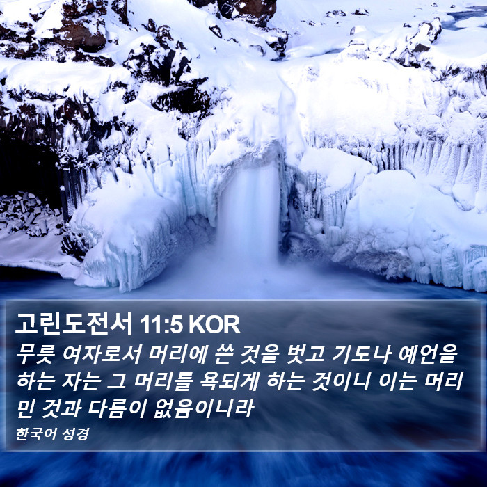 고린도전서 11:5 KOR Bible Study