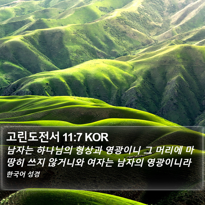 고린도전서 11:7 KOR Bible Study