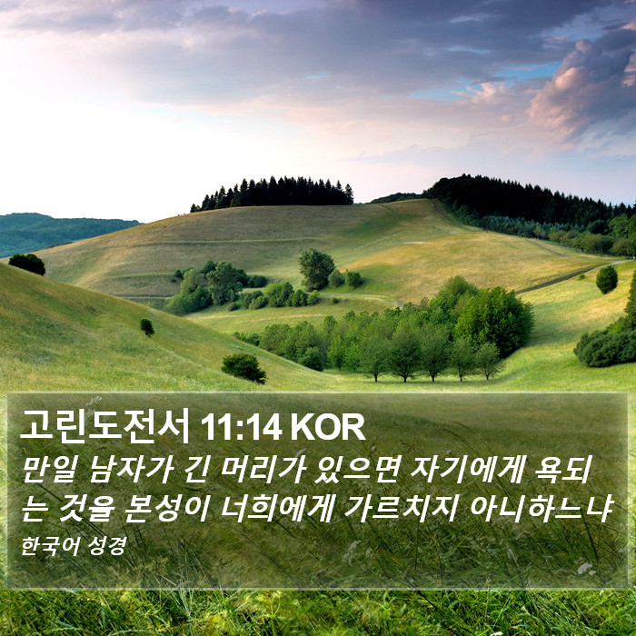 고린도전서 11:14 KOR Bible Study
