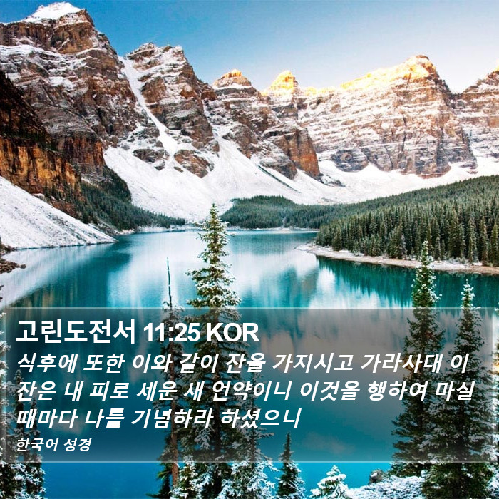 고린도전서 11:25 KOR Bible Study