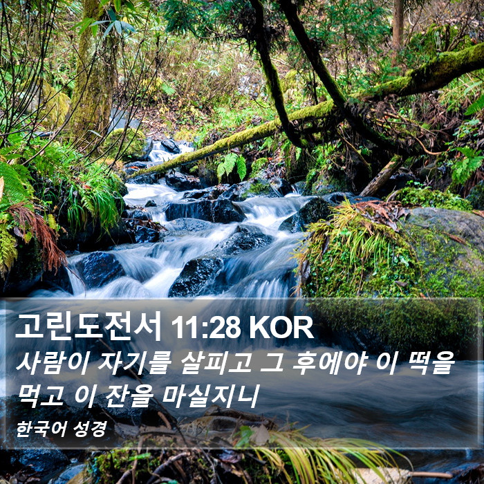 고린도전서 11:28 KOR Bible Study