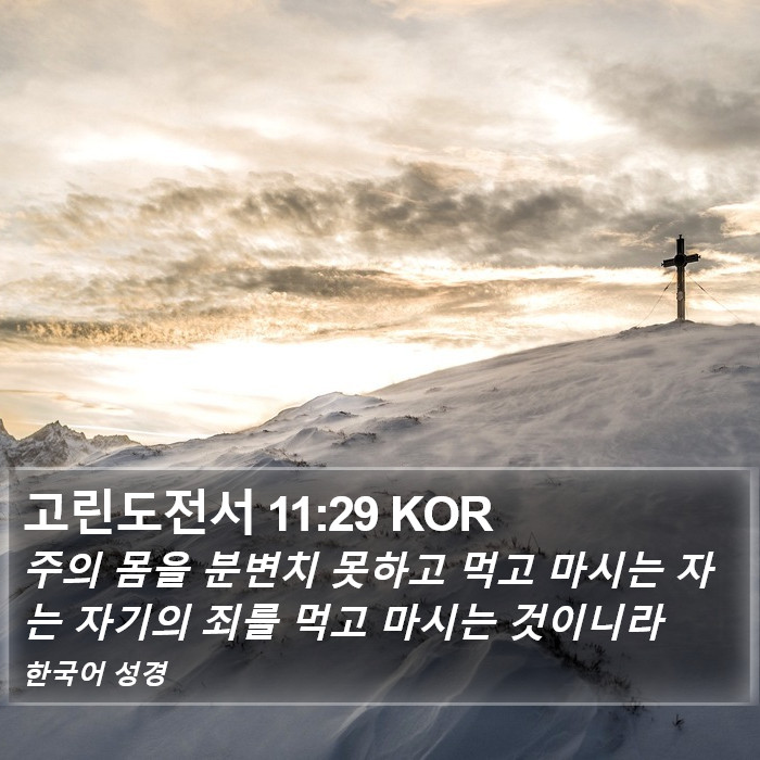 고린도전서 11:29 KOR Bible Study