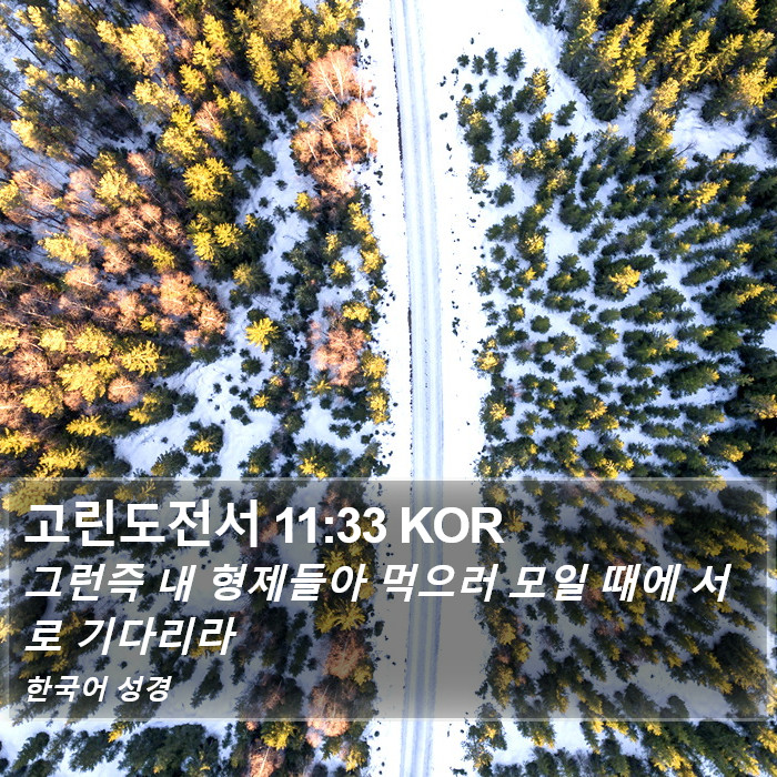고린도전서 11:33 KOR Bible Study