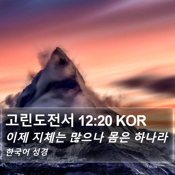 고린도전서 12:20 KOR Bible Study