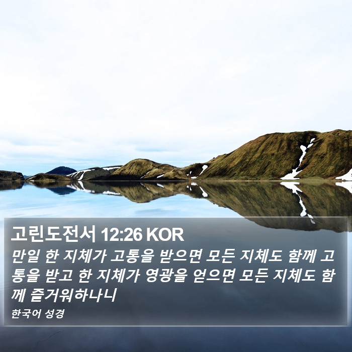고린도전서 12:26 KOR Bible Study