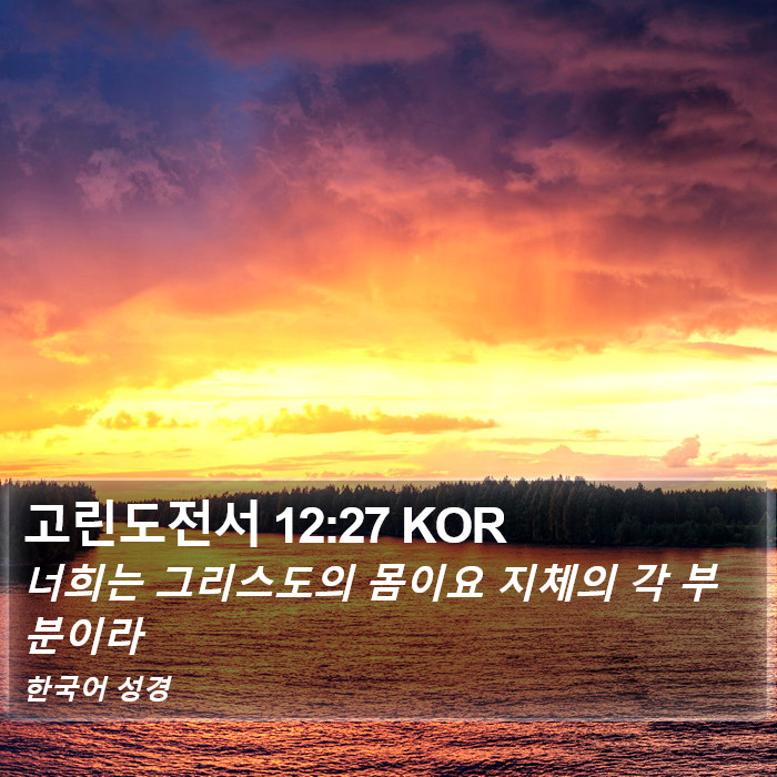 고린도전서 12:27 KOR Bible Study