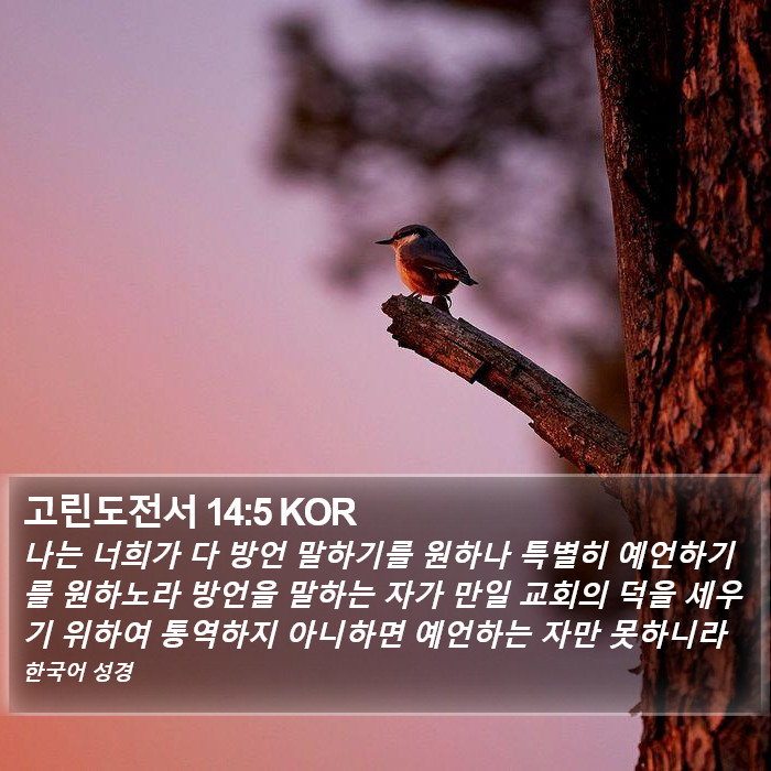 고린도전서 14:5 KOR Bible Study