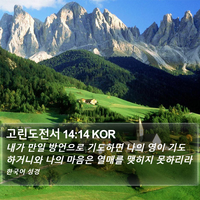 고린도전서 14:14 KOR Bible Study