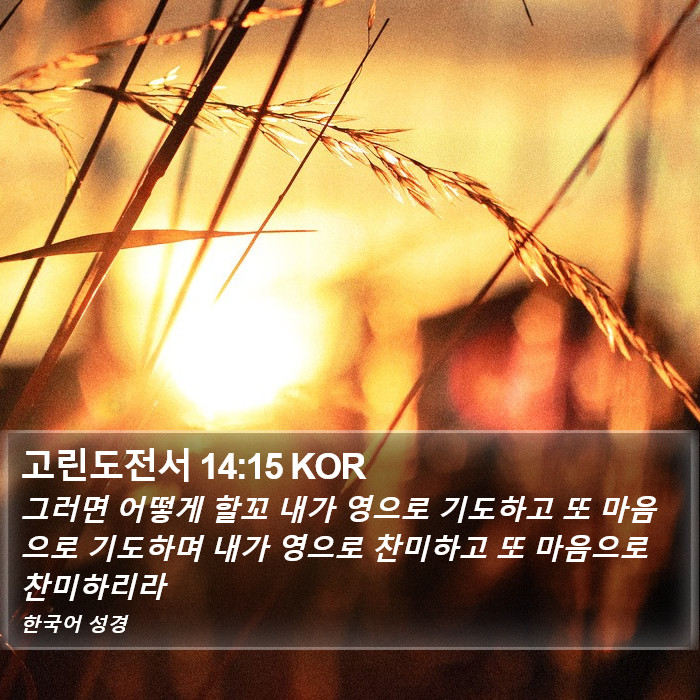 고린도전서 14:15 KOR Bible Study