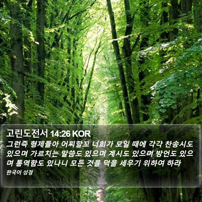 고린도전서 14:26 KOR Bible Study