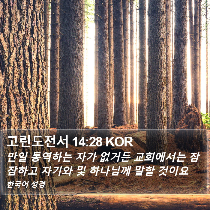 고린도전서 14:28 KOR Bible Study