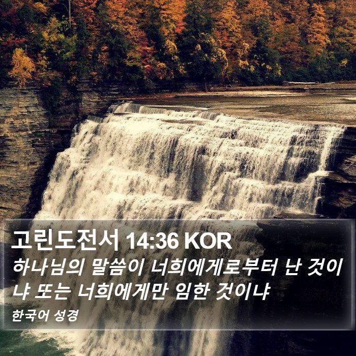 고린도전서 14:36 KOR Bible Study