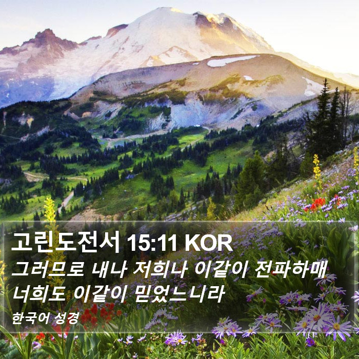 고린도전서 15:11 KOR Bible Study