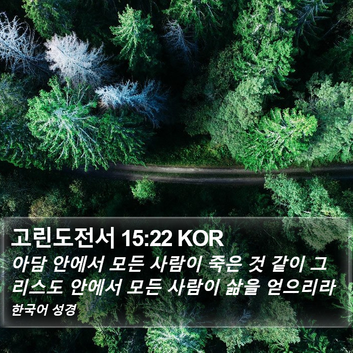 고린도전서 15:22 KOR Bible Study