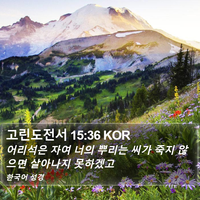 고린도전서 15:36 KOR Bible Study