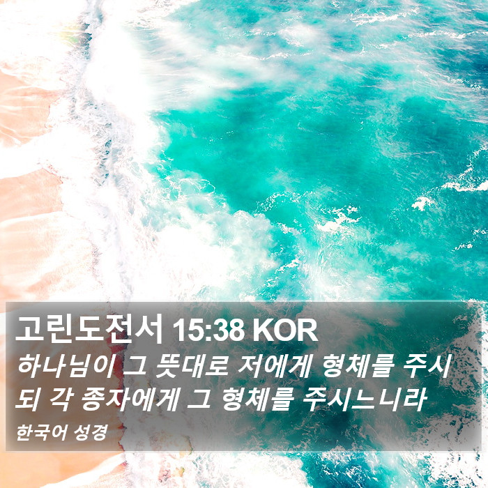 고린도전서 15:38 KOR Bible Study