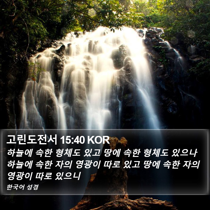 고린도전서 15:40 KOR Bible Study