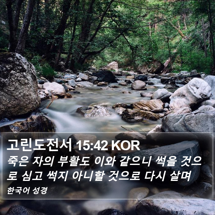 고린도전서 15:42 KOR Bible Study