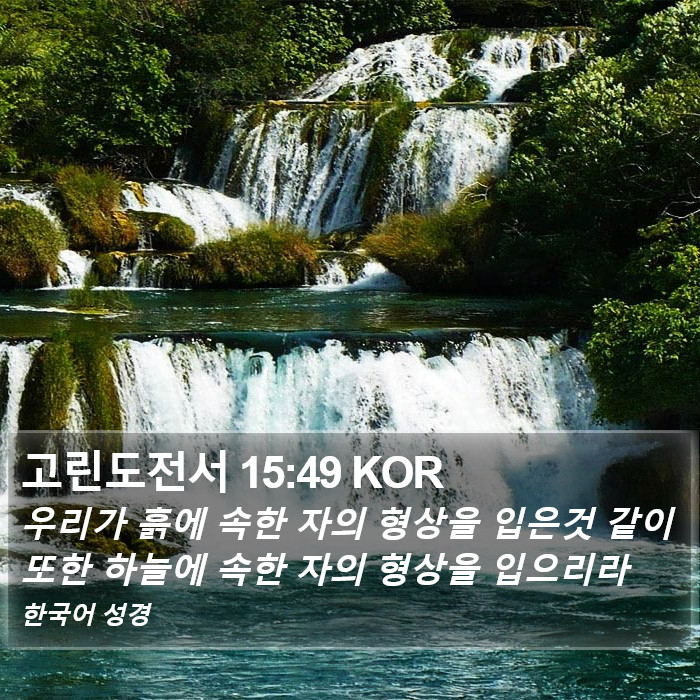 고린도전서 15:49 KOR Bible Study
