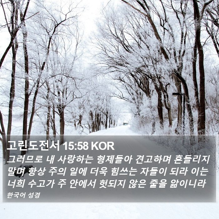 고린도전서 15:58 KOR Bible Study