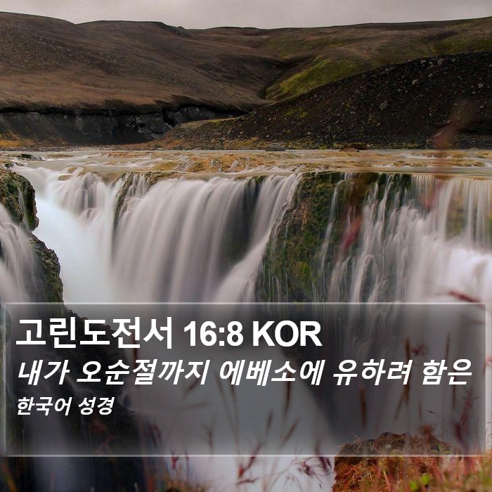 고린도전서 16:8 KOR Bible Study