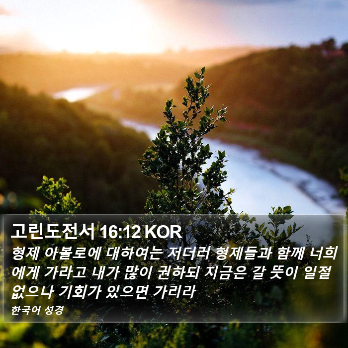 고린도전서 16:12 KOR Bible Study