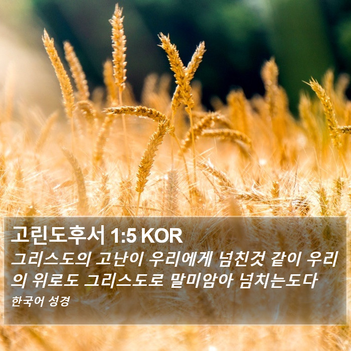 고린도후서 1:5 KOR Bible Study