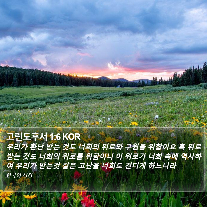 고린도후서 1:6 KOR Bible Study