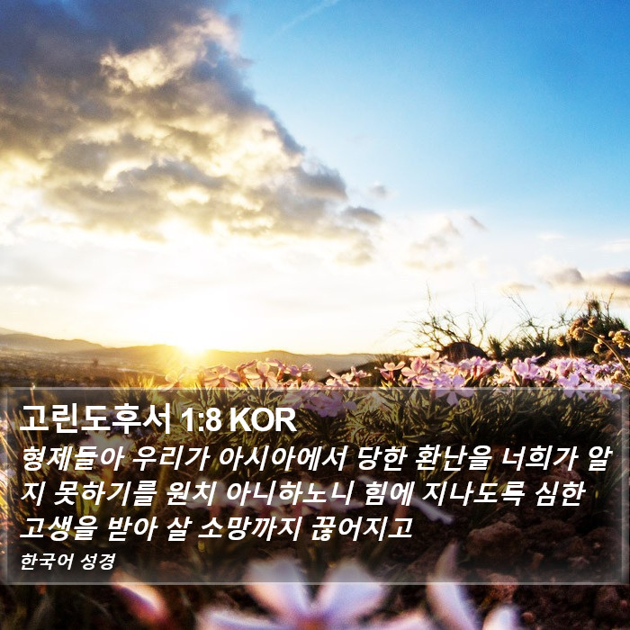 고린도후서 1:8 KOR Bible Study