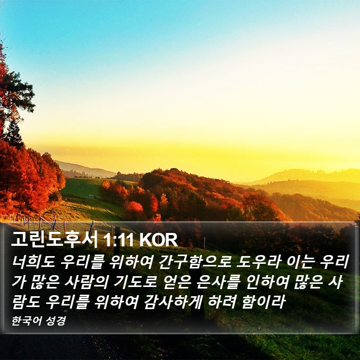 고린도후서 1:11 KOR Bible Study