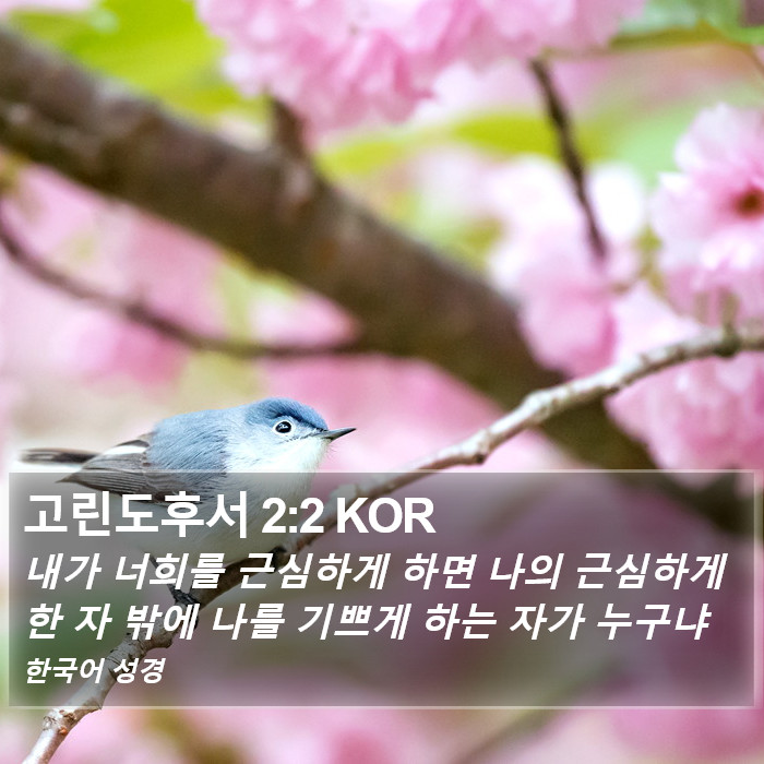 고린도후서 2:2 KOR Bible Study