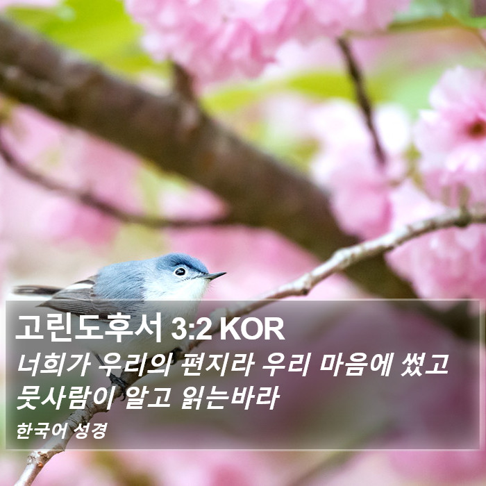 고린도후서 3:2 KOR Bible Study