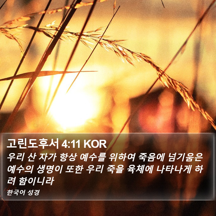 고린도후서 4:11 KOR Bible Study