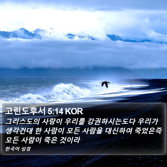 고린도후서 5:14 KOR Bible Study