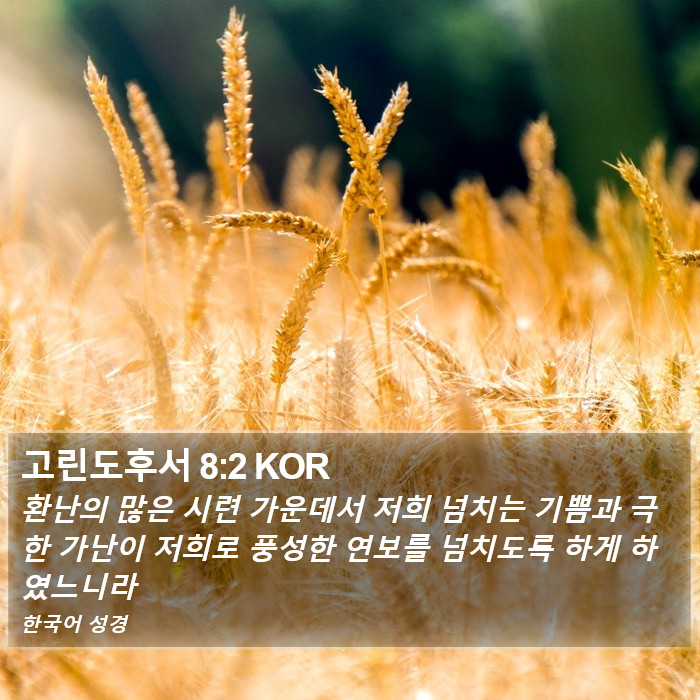 고린도후서 8:2 KOR Bible Study