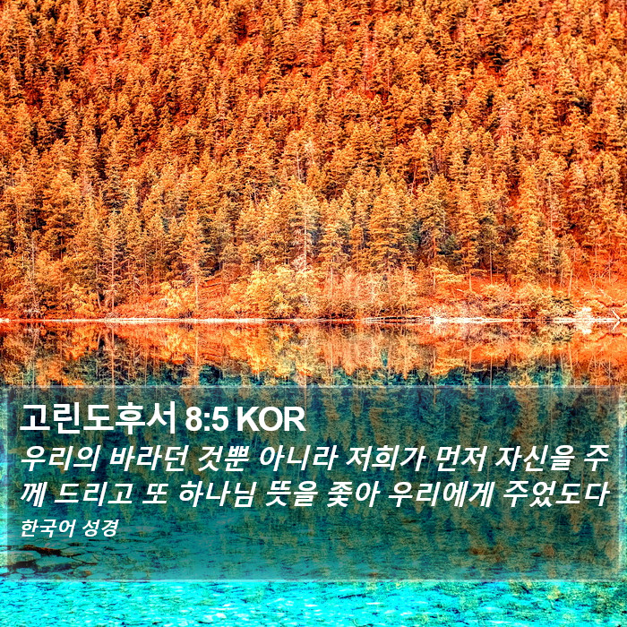 고린도후서 8:5 KOR Bible Study