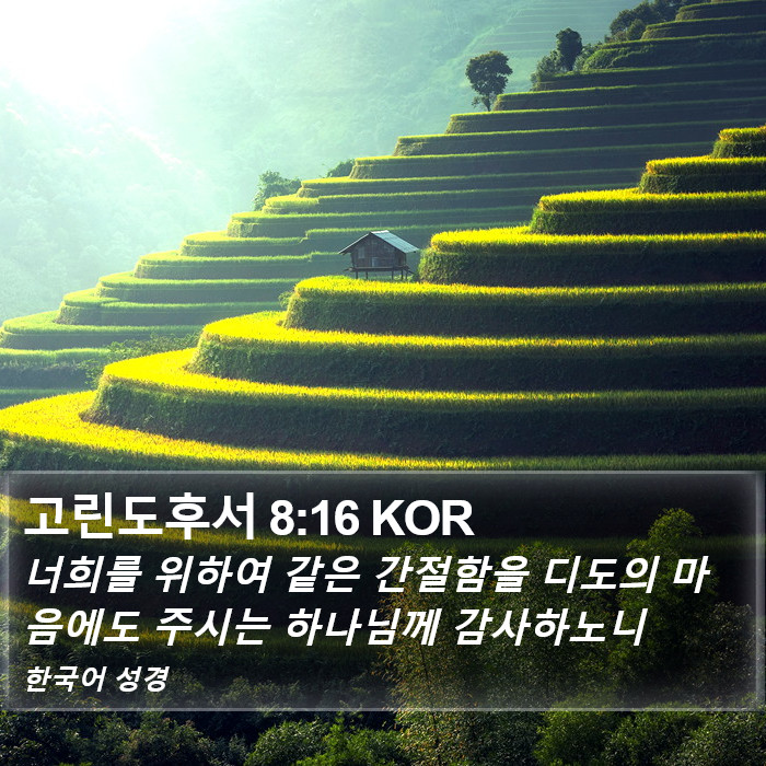 고린도후서 8:16 KOR Bible Study