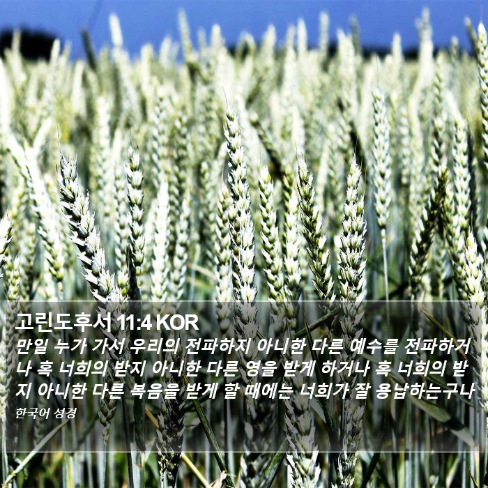고린도후서 11:4 KOR Bible Study