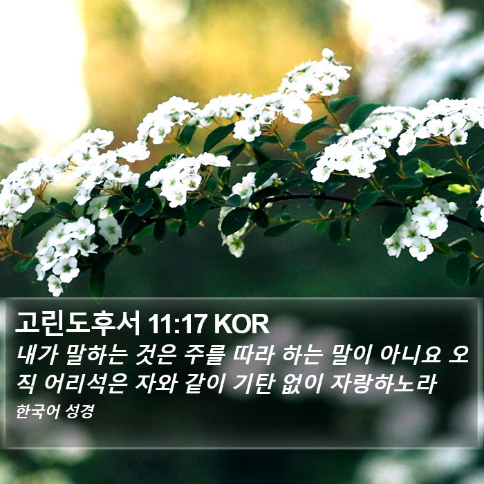 고린도후서 11:17 KOR Bible Study