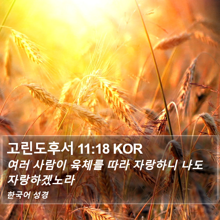 고린도후서 11:18 KOR Bible Study