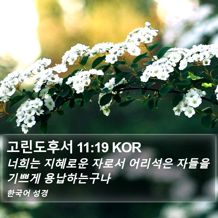 고린도후서 11:19 KOR Bible Study